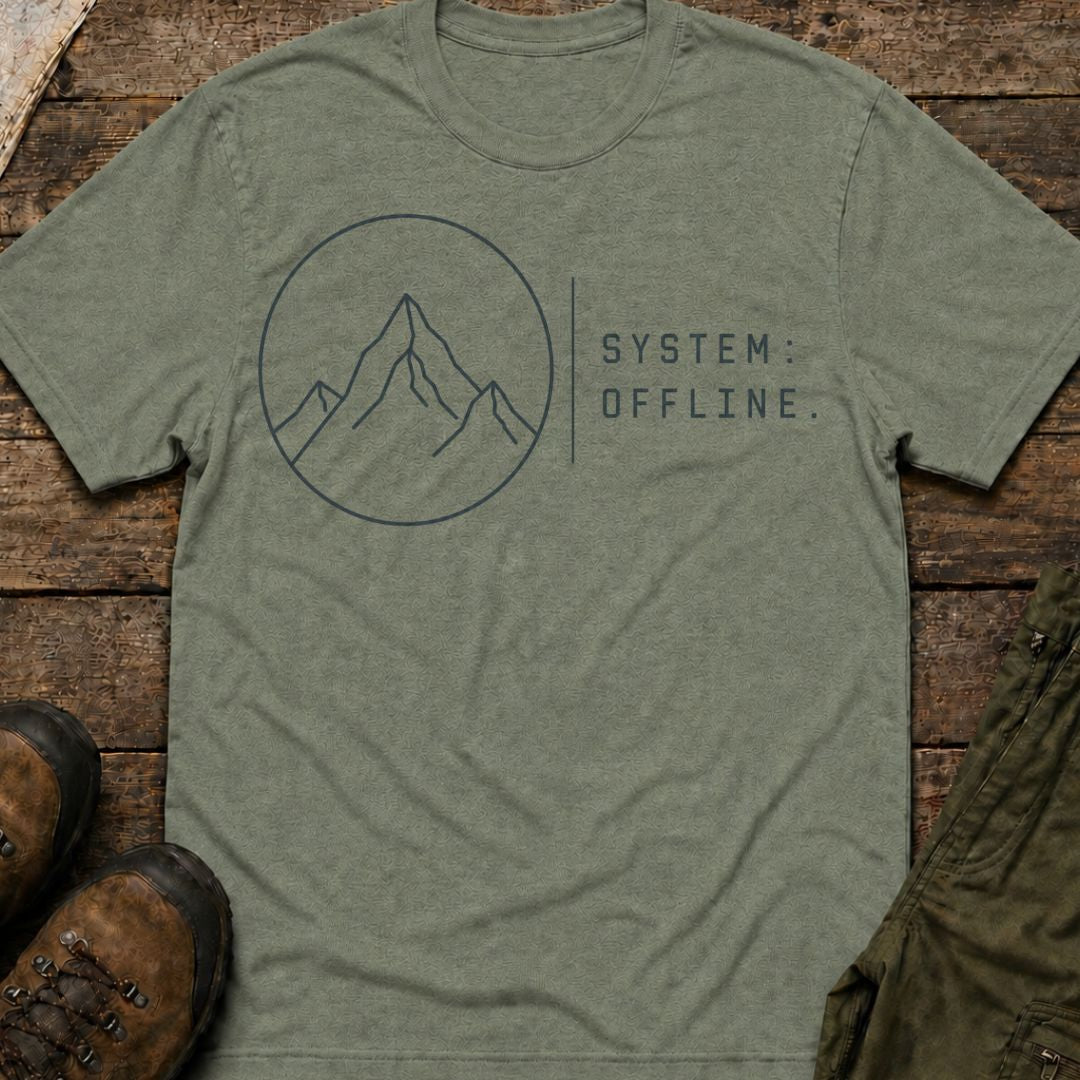 System Offline