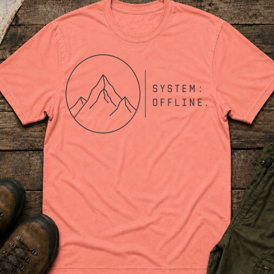 System Offline