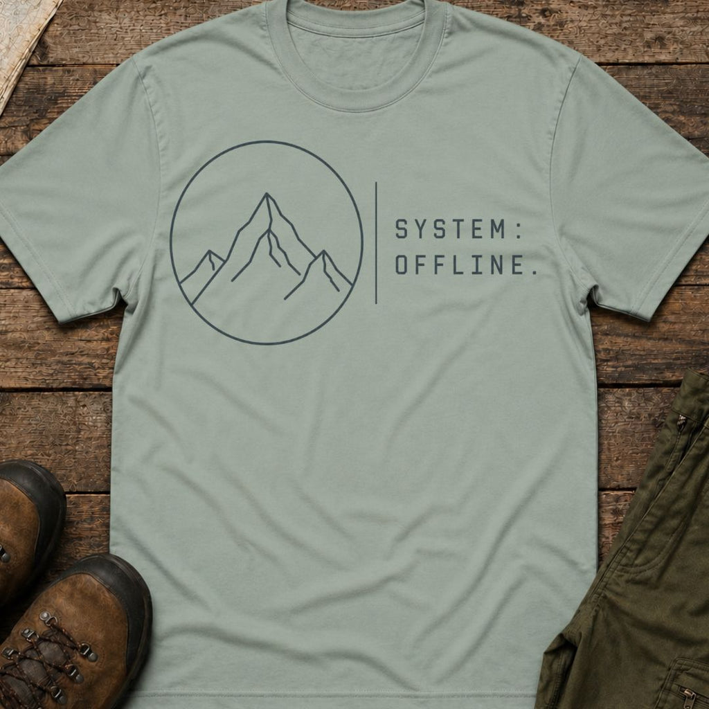 System Offline