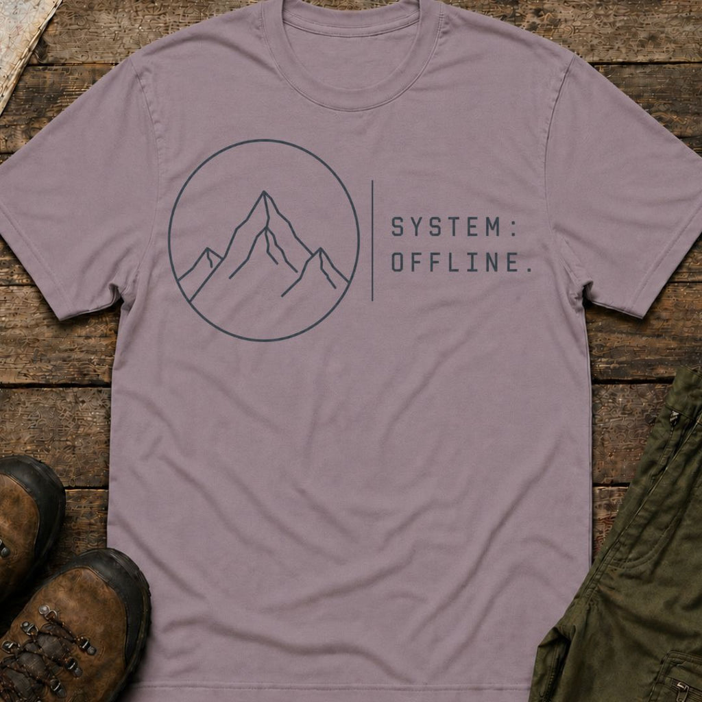 System Offline