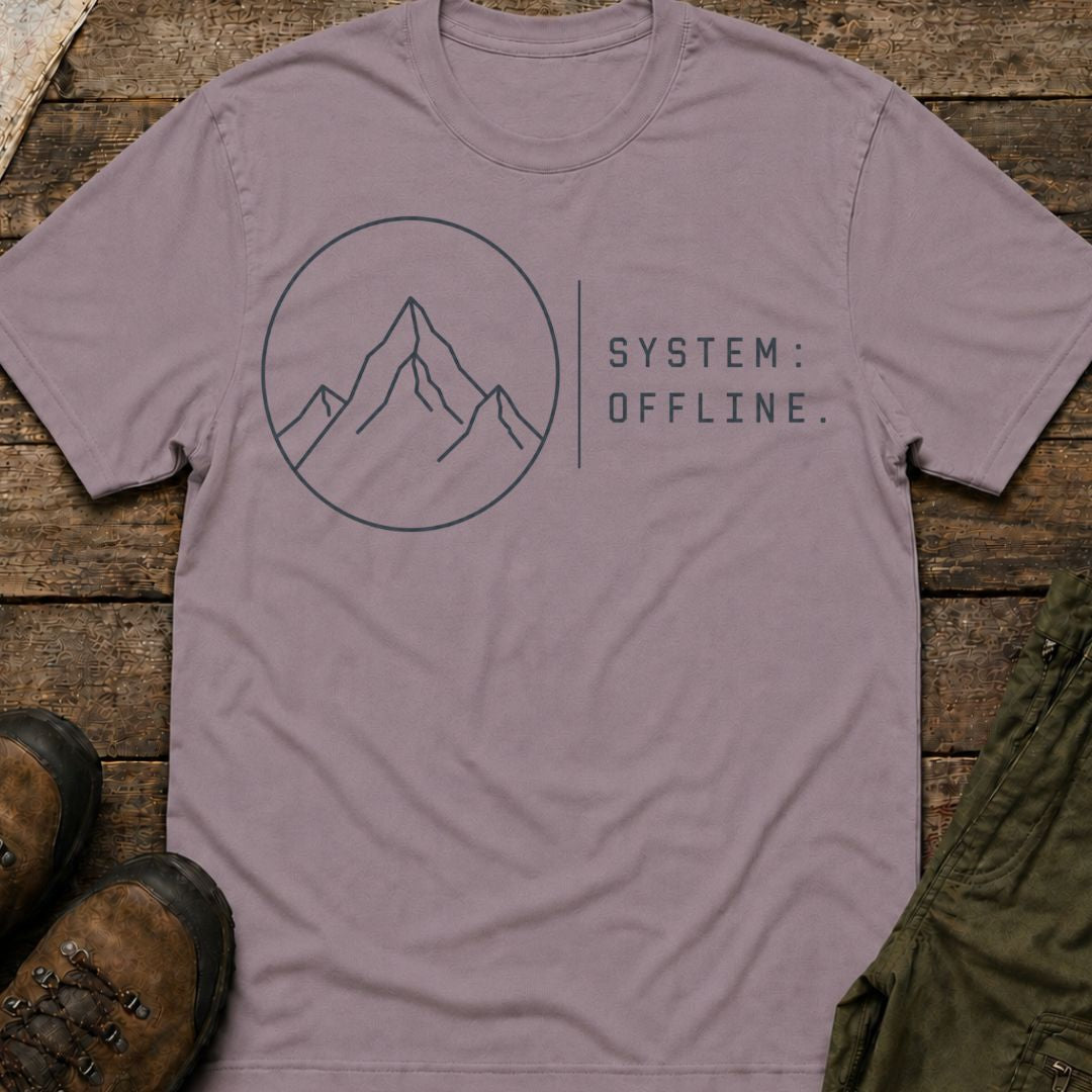 System Offline