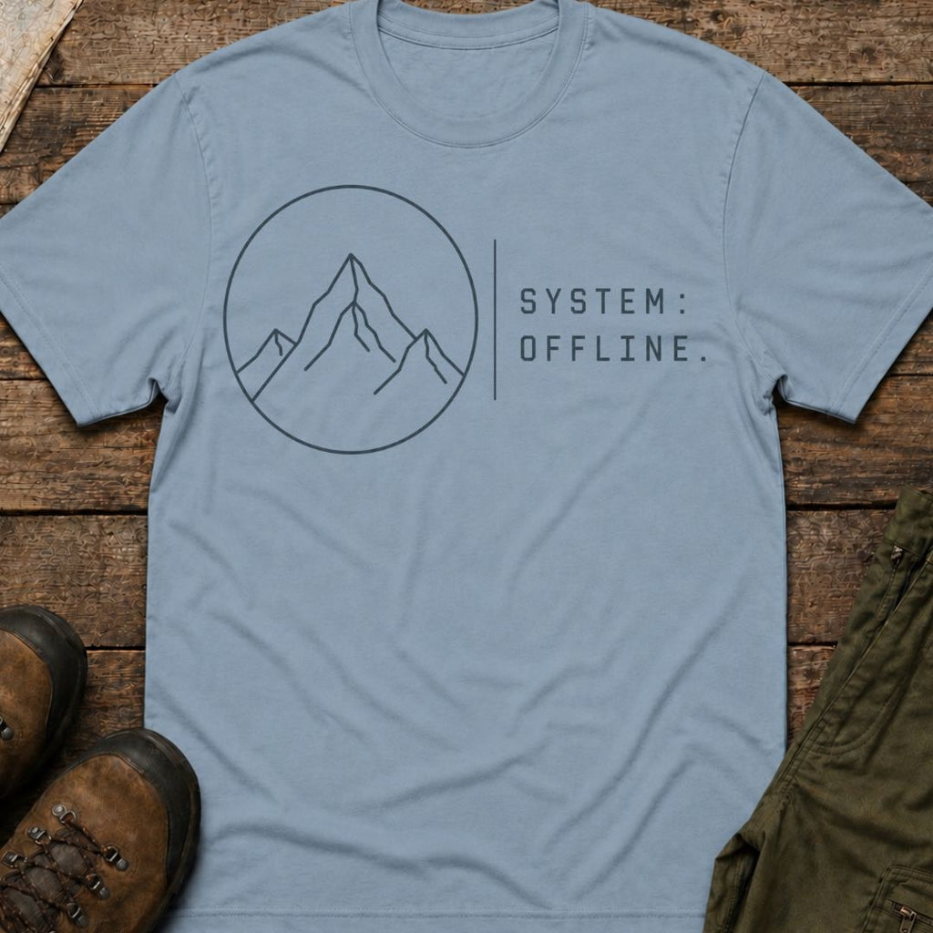 System Offline