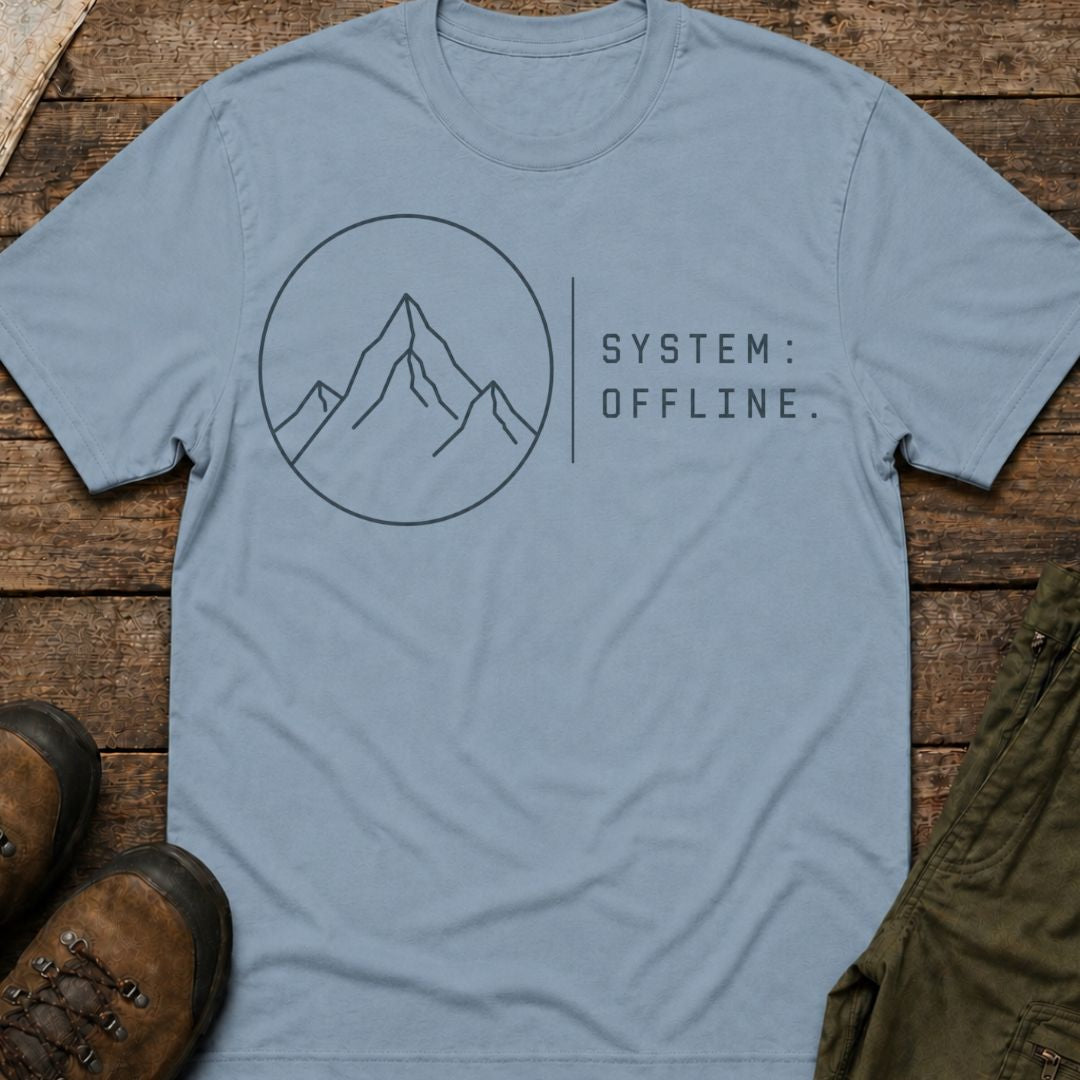 System Offline