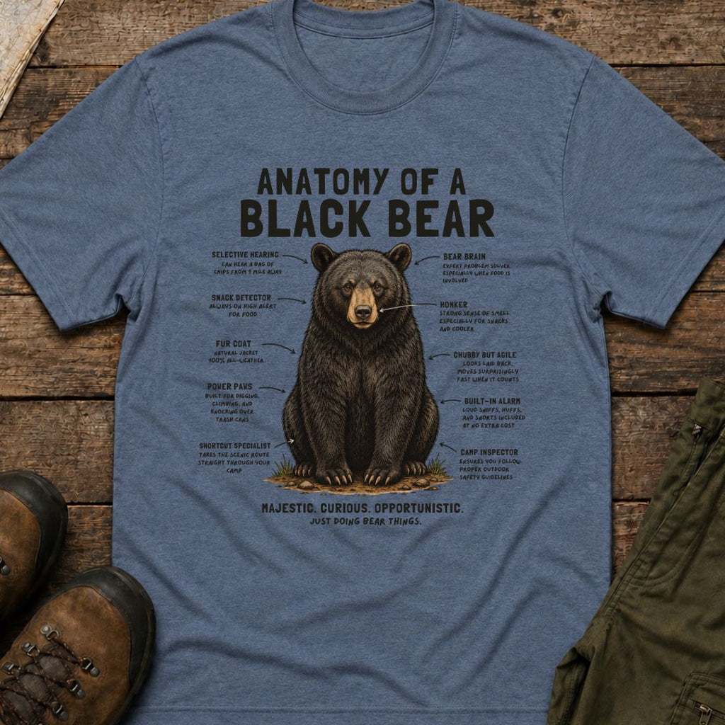 Anatomy of a Black Bear