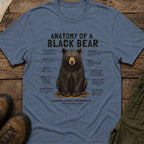 Anatomy of a Black Bear