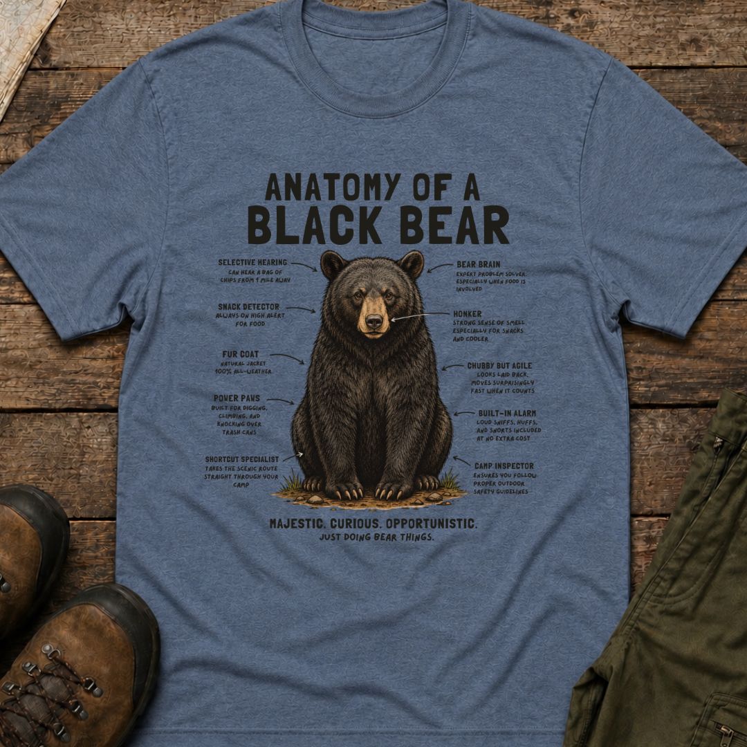 Anatomy of a Black Bear