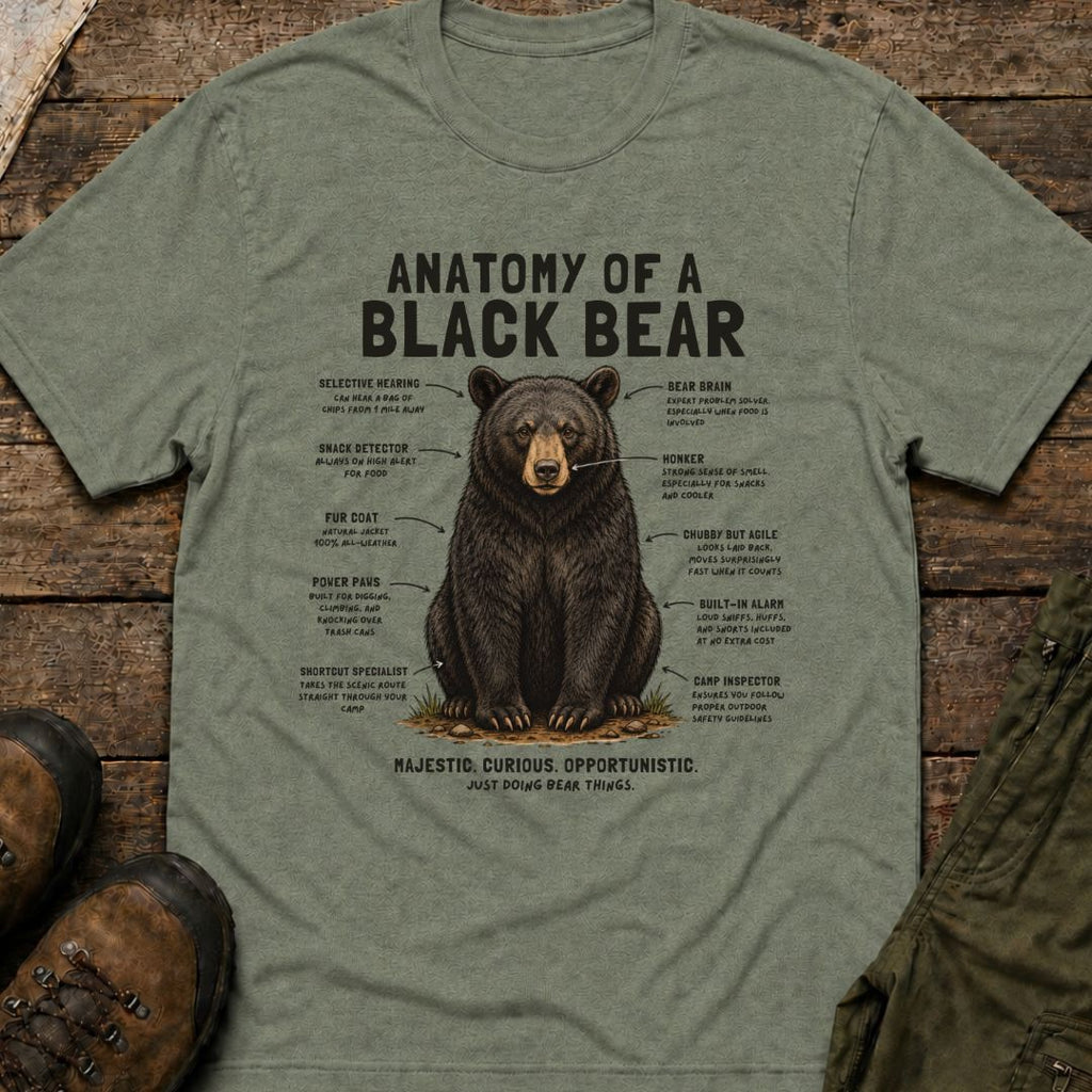 Anatomy of a Black Bear