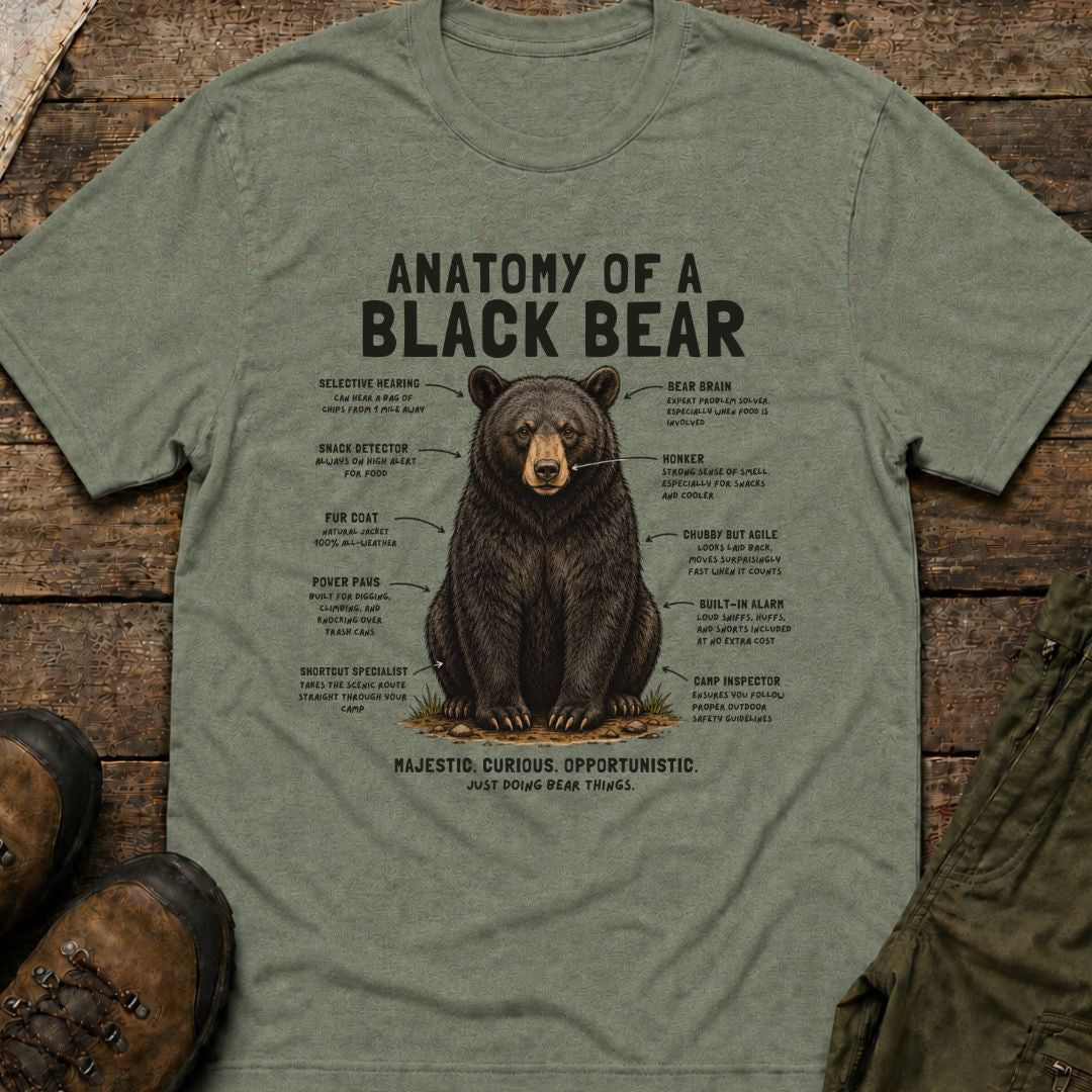 Anatomy of a Black Bear