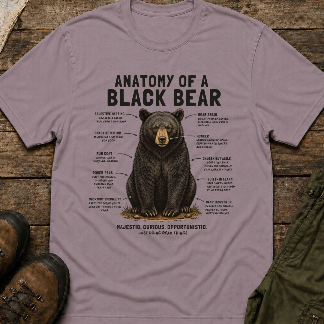 Anatomy of a Black Bear