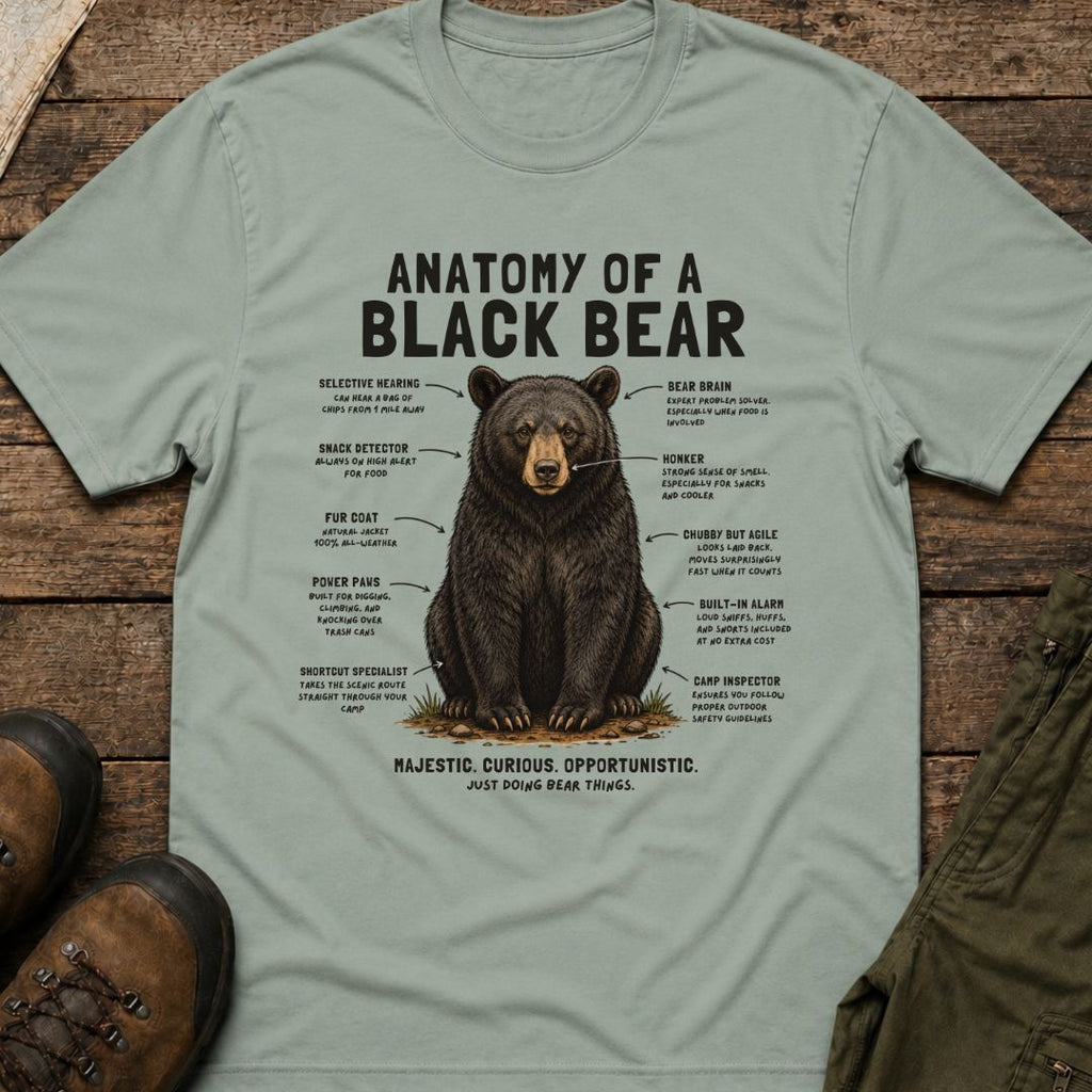 Anatomy of a Black Bear