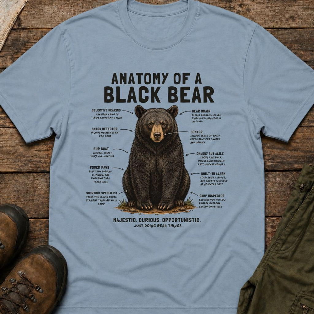 Anatomy of a Black Bear
