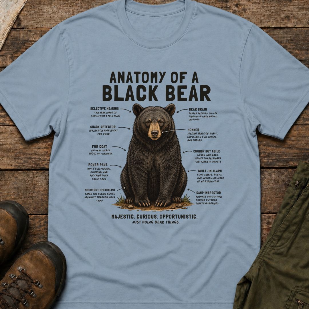 Anatomy of a Black Bear
