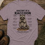 Anatomy of a Raccoon