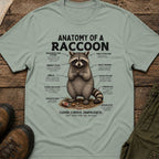 Anatomy of a Raccoon