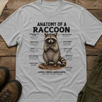 Anatomy of a Raccoon