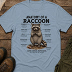 Anatomy of a Raccoon