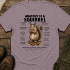 Anatomy of a Squirel