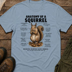 Anatomy of a Squirel