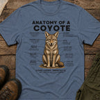 Anatomy of a Coyote