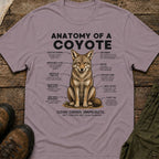 Anatomy of a Coyote