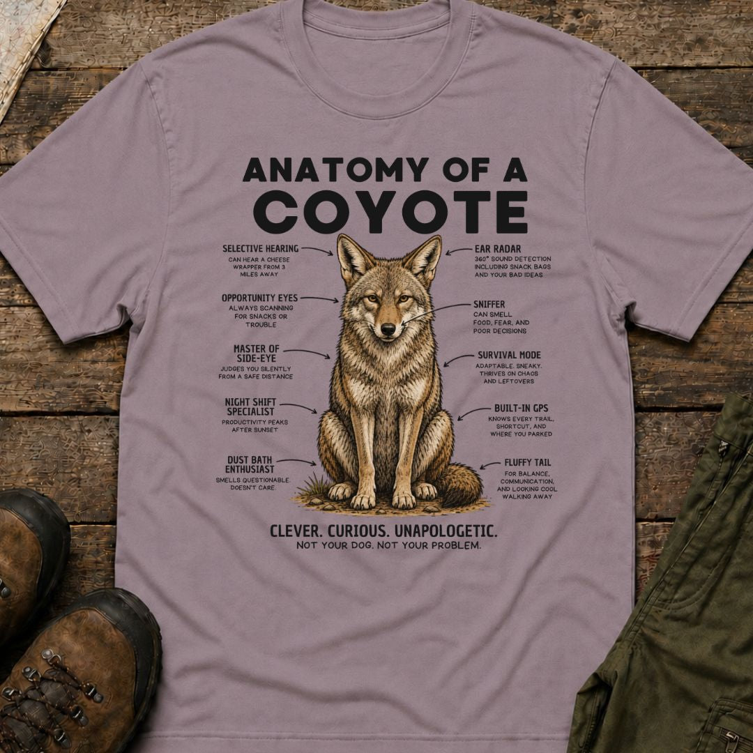 Anatomy of a Coyote