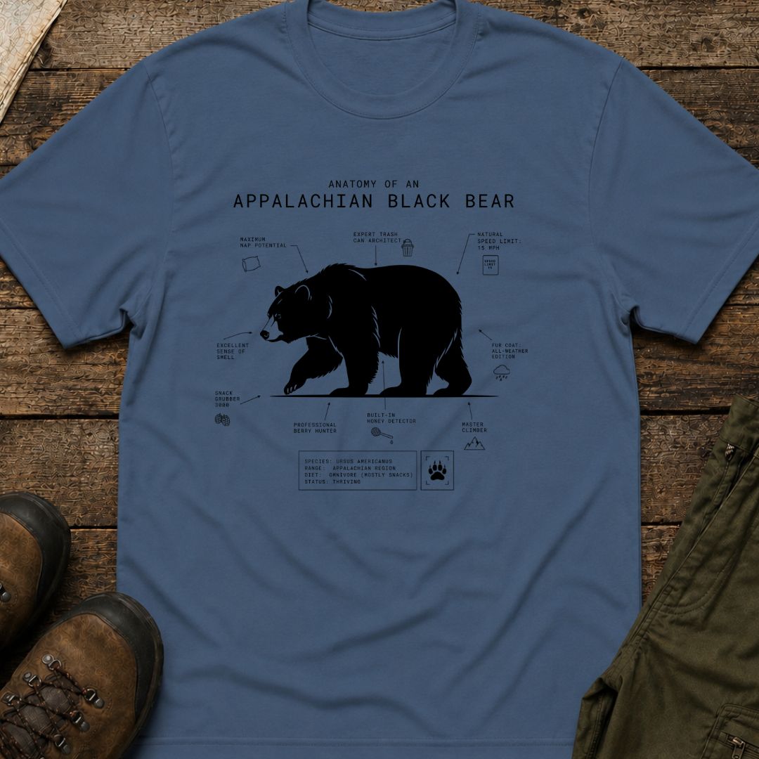 Anatomy of An Appalachian Black Bear