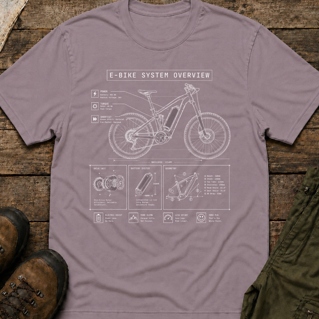 E Bike System Overview
