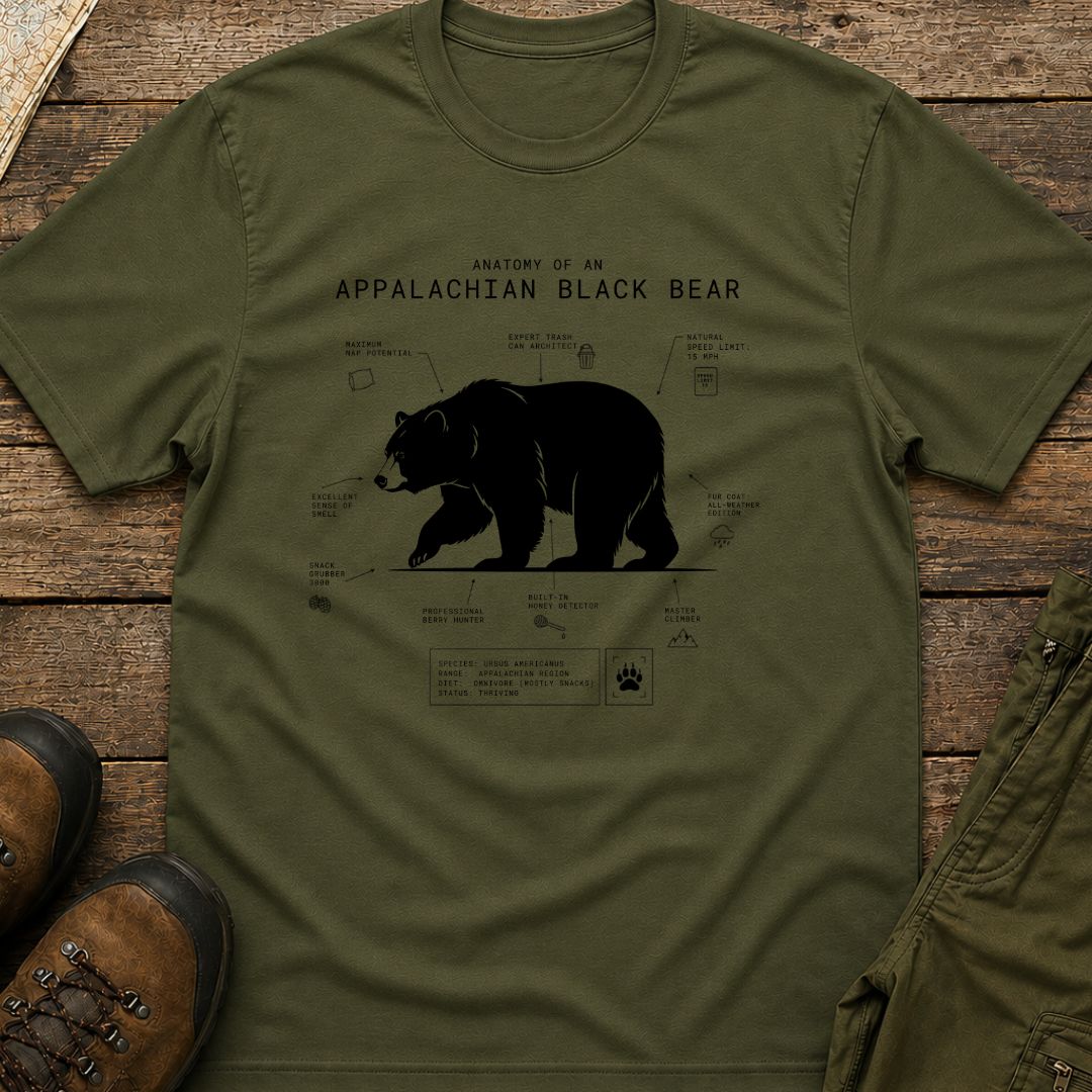Anatomy of An Appalachian Black Bear
