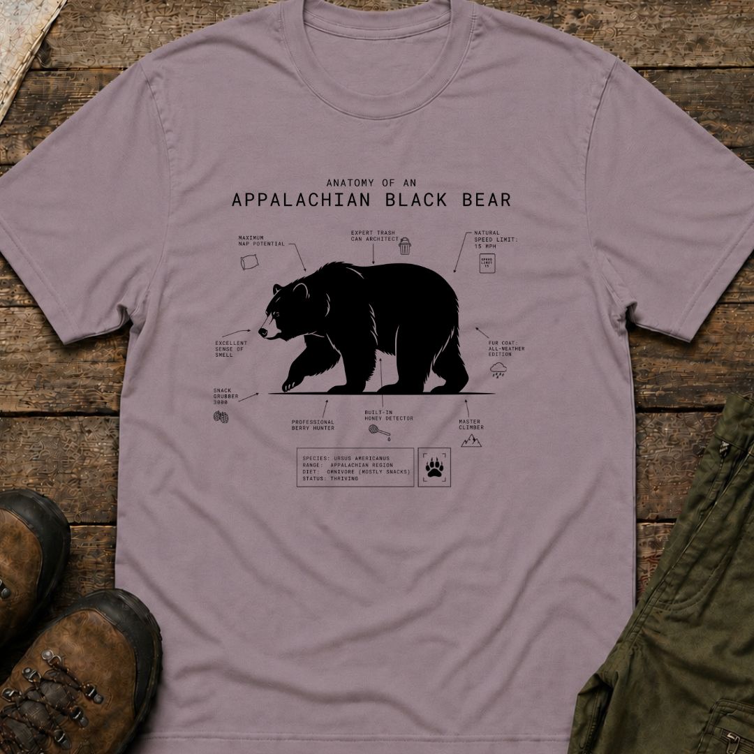 Anatomy of An Appalachian Black Bear