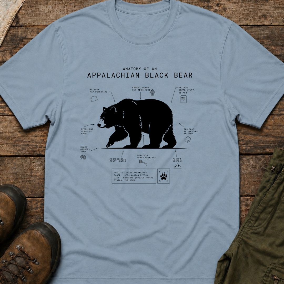 Anatomy of An Appalachian Black Bear