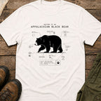 Anatomy of An Appalachian Black Bear
