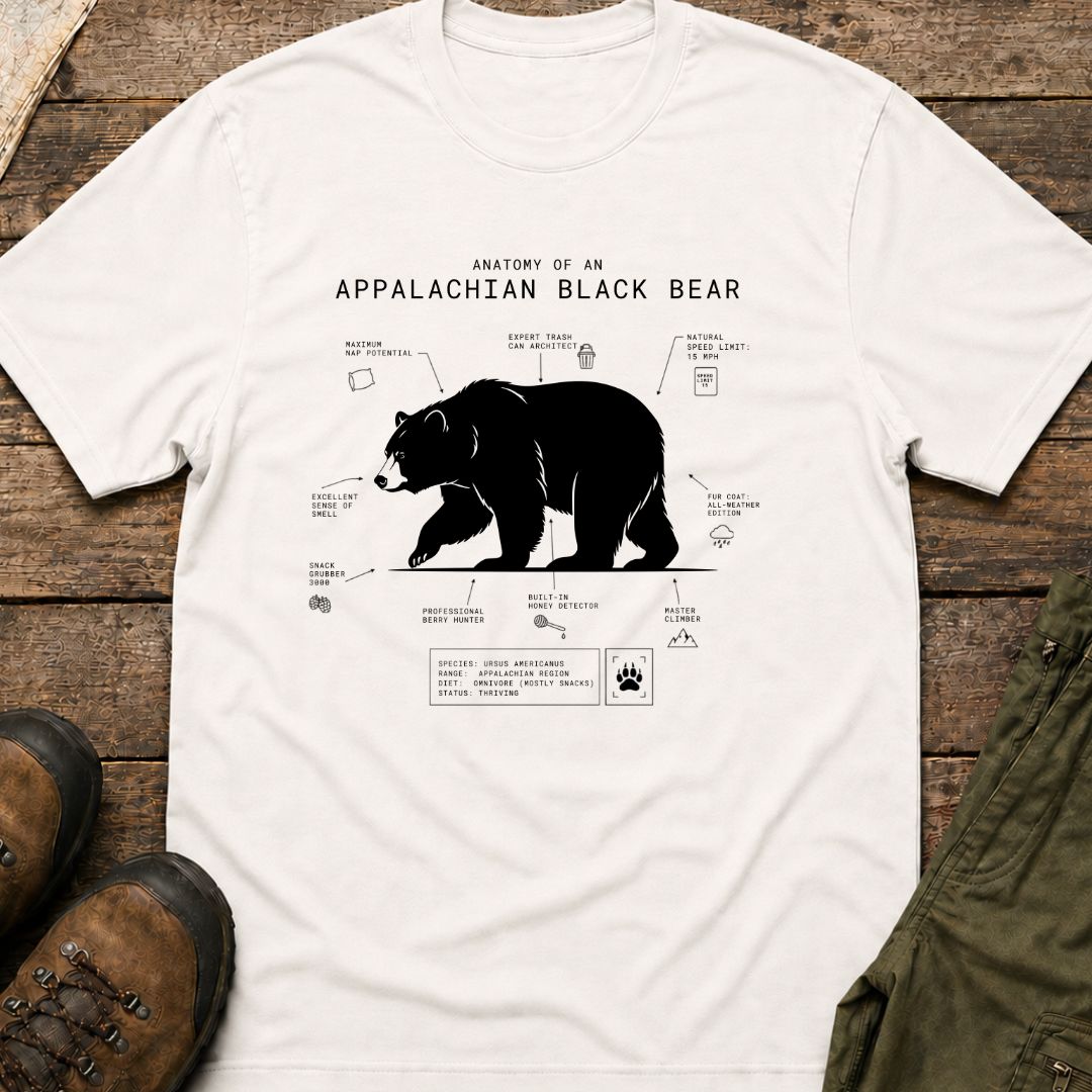 Anatomy of An Appalachian Black Bear